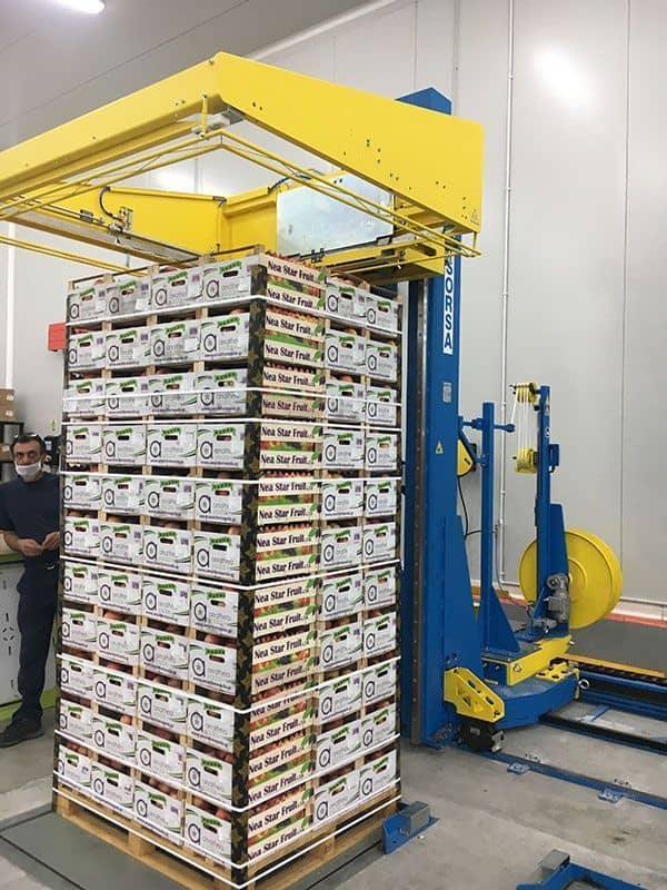 INSTALACIONES FLEJADO AUTOMÁTICO DE FLEJADO HORIZONTAL SORSA PFHA-900G-D