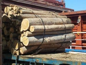 SORSA FLJADO FOR THE LOGGING INDUSTRY, log lashing