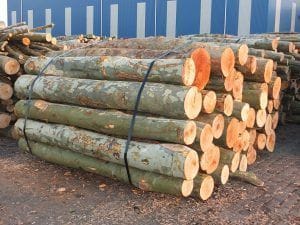 SORSA FLJADO FOR THE LOGGING INDUSTRY, log lashing