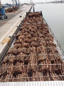 SORSA FLJADO FOR THE LOGGING INDUSTRY, log lashing