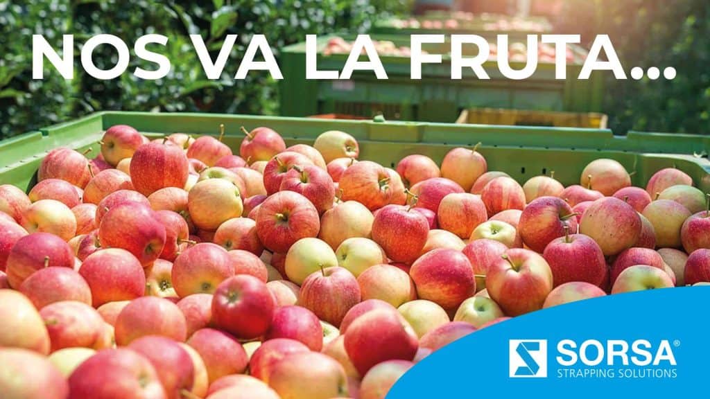 SORSA optimizes and secures the value chain of the fruit and vegetable sector